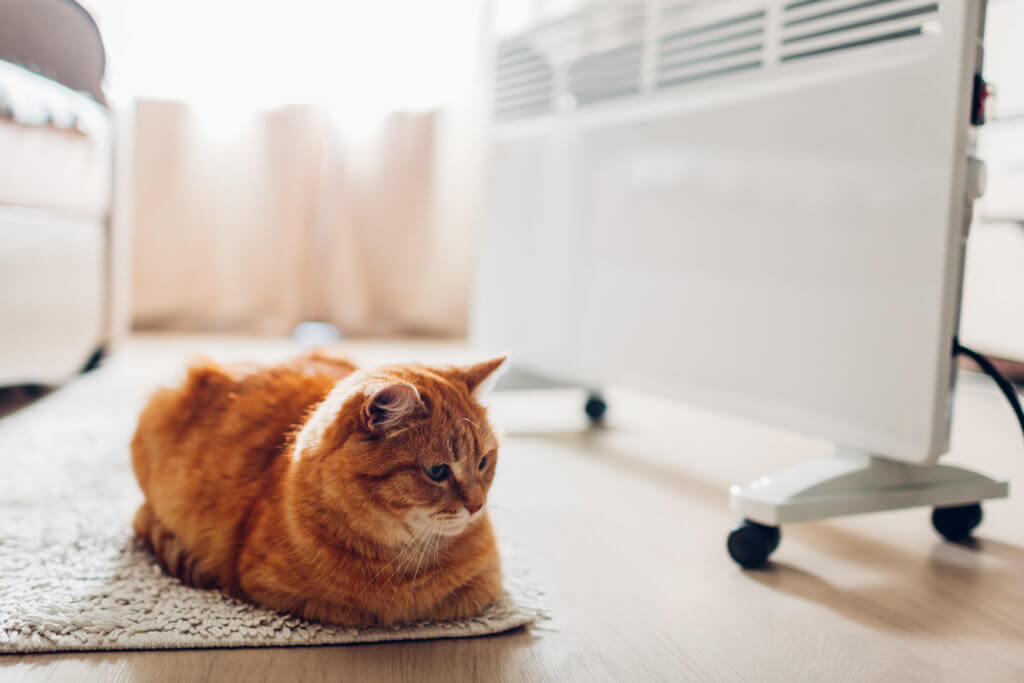 ヒーターの電気代はどれくらい？電気代が安い【暖房器具】ランキング